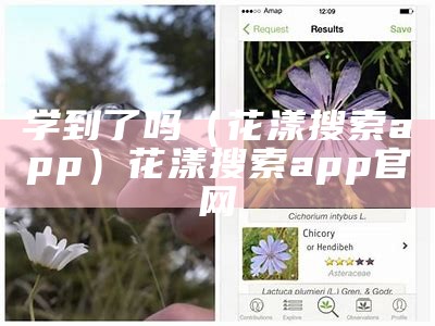 学到了吗（花漾搜索app）花漾搜索app官网