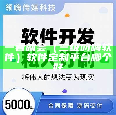 一看就会（三级叼嗨软件）软件定制平台哪个好