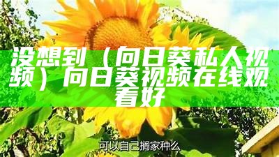 没想到（向日葵私人视频）向日葵视频在线观看好（向日葵视频在线观看is）