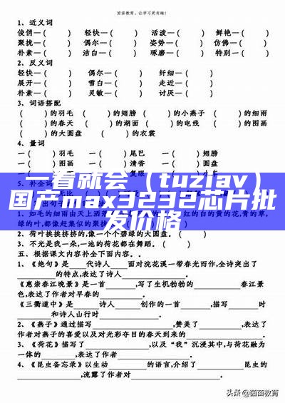 一看就会（tuziav）国产max3232芯片批发价格（国产芯片论坛）