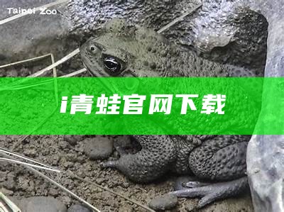 i青蛙官网下载