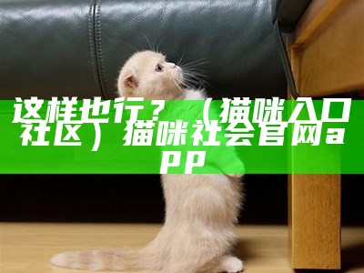 这样也行？（猫咪入口社区）猫咪社会官网app