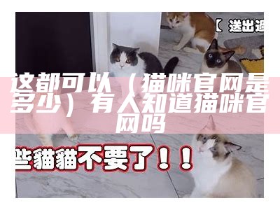 这都可以（猫咪官网是多少）有人知道猫咪官网吗