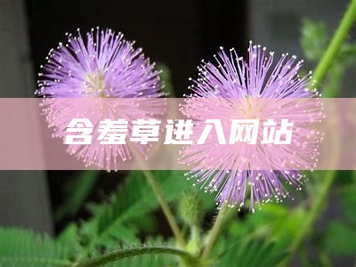 含羞草进入网站