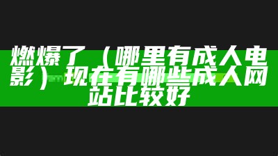 燃爆了（哪里有成人电影）现在有哪些成人网站比较好（有什么好成人网站吗）