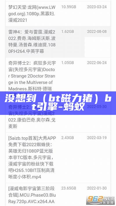 没想到（bt磁力猪）bt引擎-蚂蚁