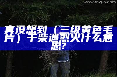 真没想到（三级黄色毛片）干柴遇烈火什么意思?