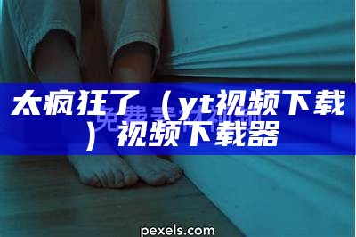 太疯狂了（yt视频下载）视频下载器