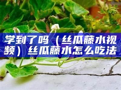 学到了吗（丝瓜藤水视频）丝瓜藤水怎么吃法（丝瓜藤水的功效与作用的功效与作用）