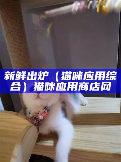 新鲜出炉（猫咪应用综合）猫咪应用商店网（猫咪应用在线下载）