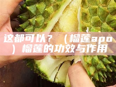 这都可以？（榴莲apo）榴莲的功效与作用（榴莲的作用功效与作用）