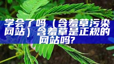 学会了吗（含羞草污染网站）含羞草是正规的网站吗?