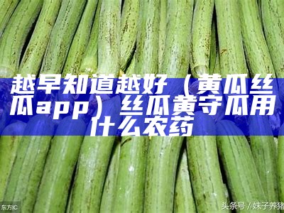 越早知道越好（黄瓜丝瓜app）丝瓜黄守瓜用什么农药（黄瓜丝瓜怎样施肥）