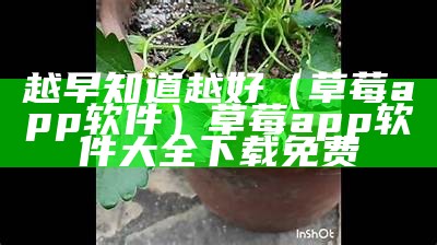 越早知道越好（草莓app软件）草莓app软件大全下载免费