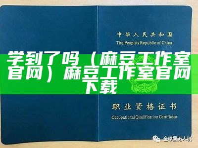 学到了吗（麻豆工作室官网）麻豆工作室官网下载（麻豆工作室怎么看）