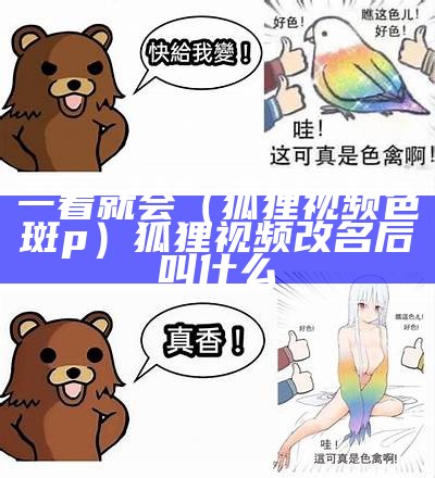 一看就会（狐狸视频色斑p）狐狸视频改名后叫什么