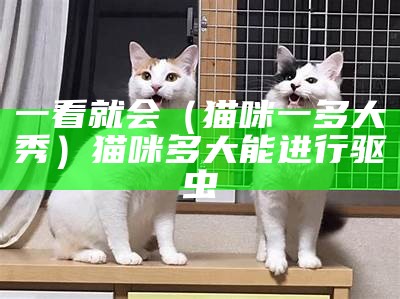 一看就会（猫咪一多大秀）猫咪多大能进行驱虫（猫多大适合驱虫）