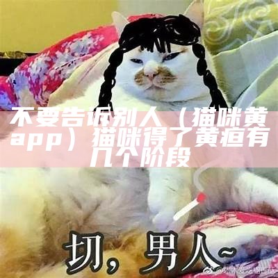 不要告诉别人（猫咪黄app）猫咪得了黄疸有几个阶段