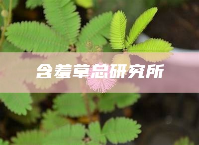 含羞草总研究所