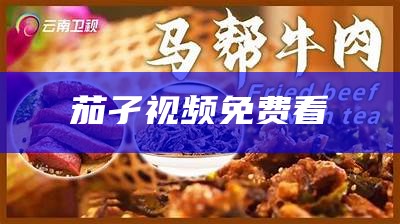 茄孑视频免费看