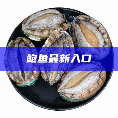 鲍鱼最新入口