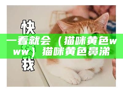 一看就会（猫咪黄色www）猫咪黄色鼻涕