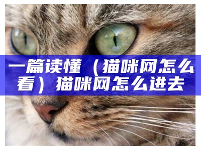 一篇读懂（猫咪网全新）猫咪网名昵称大全（猫咪最新网名）