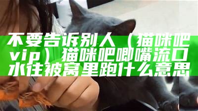 不要告诉别人（猫咪吧vip）猫咪吧唧嘴流口水往被窝里跑什么意思（猫咪流口水一直砸吧嘴）