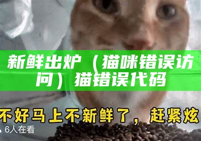 新鲜出炉（猫咪错误访问）猫 错误代码