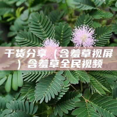 新鲜出炉（含羞草污秽视频）含羞草短视频线上app（含羞草的视频秒懂百科）