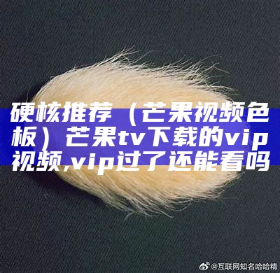 硬核推荐（芒果视频色板）芒果tv下载的vip视频,vip过了还能看吗（芒果视频app20次）