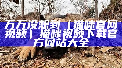 万万没想到（猫咪官网视频）猫咪视频下载官方网站大全（猫咪视频网址是多少 下载）