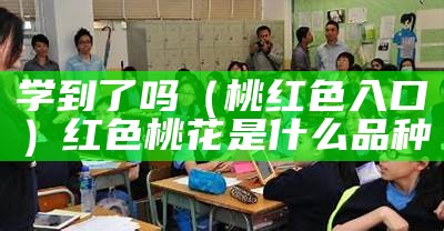 学到了吗（桃红色入口）红色桃花是什么品种