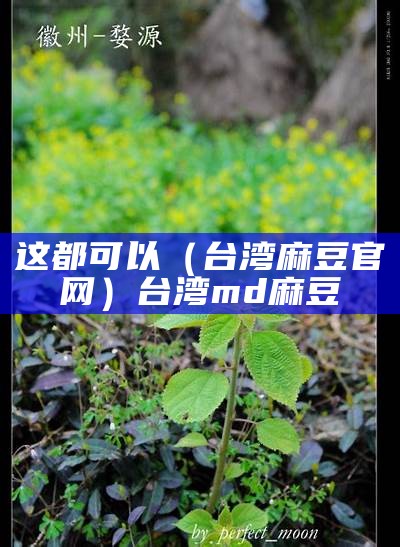 这都可以（台湾麻豆官网）台湾md麻豆（台湾的麻豆在哪里可以看到）