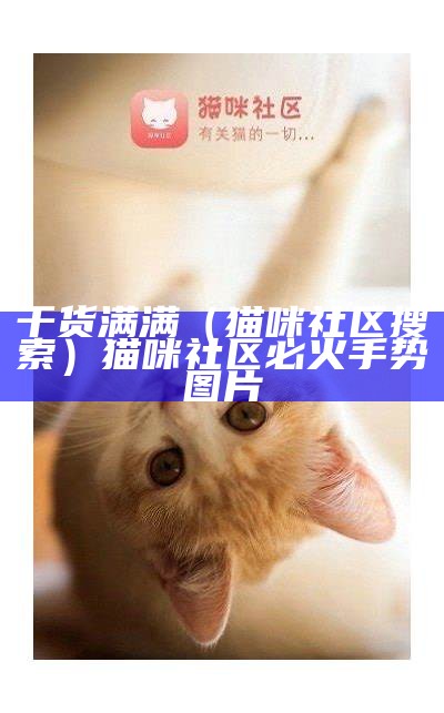 学到了吗（猫咪社区入口）猫咪社区的永久地域网名是什么（猫咪社区官网叫什么）