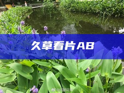 久草看片AB