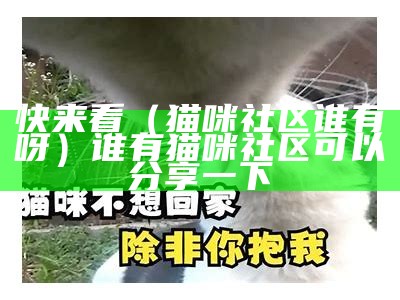 快来看（猫咪社区谁有呀）谁有猫咪社区可以分享一下（谁有猫咪社区最新）