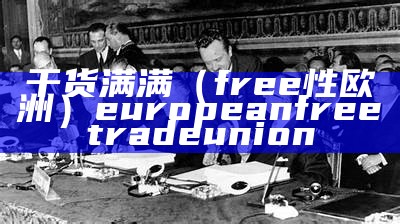 干货满满（free性欧洲）european free trade union