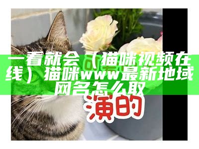 一看就会（猫咪视频在线）猫咪www最新地域网名怎么取