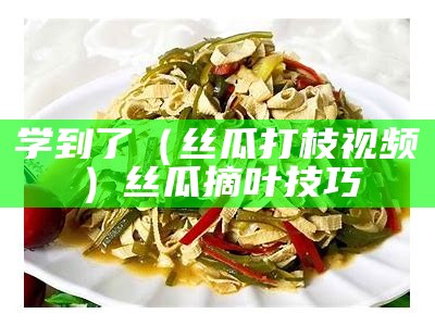 学到了（丝瓜打枝视频）丝瓜摘叶技巧