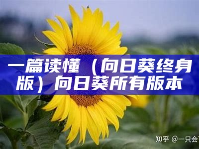 一篇读懂（向日葵终身版）向日葵所有版本（向日葵终身会员）