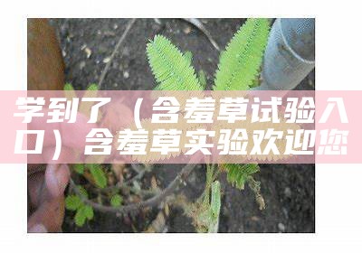 学到了（含羞草试验入口）含羞草实验欢迎您（含羞草实验所入口_欢迎你）