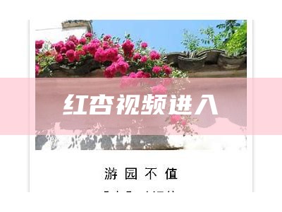 红杏视频进入