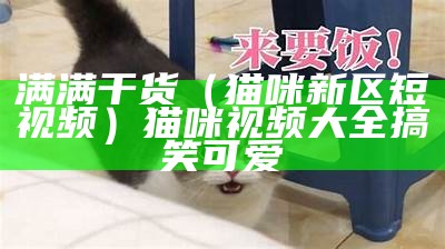 满满干货（猫咪新区短视频）猫咪视频大全搞笑可爱