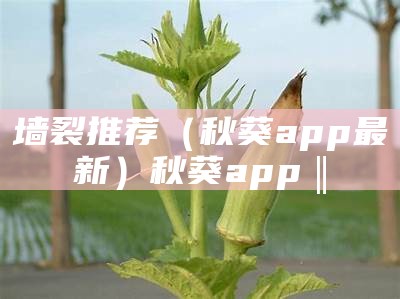 墙裂推荐（秋葵app最新）秋葵app‖