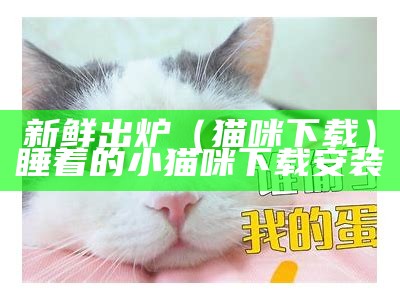 新鲜出炉（猫咪 下载）睡着的小猫咪下载安装