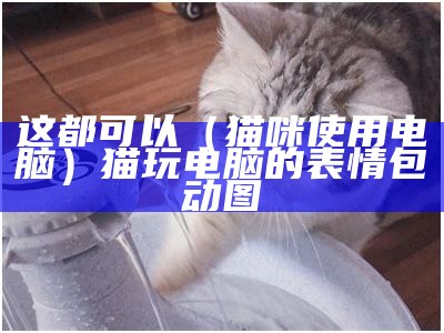 这都可以（猫咪使用电脑）猫玩电脑的表情包动图