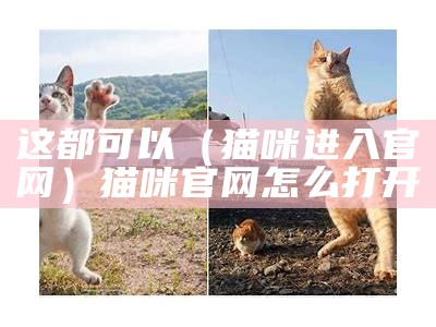 这都可以（猫咪进入官网）猫咪官网怎么打开