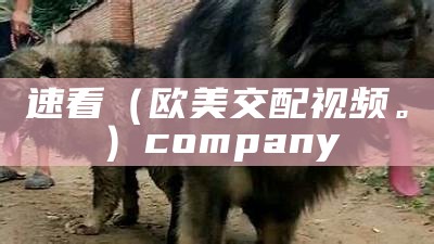 速看（欧美交配视频。）company