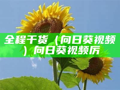 全程干货（向日葵视频卍）向日葵视频厉（向日葵视频向日葵视频向）